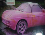 barchetta rosa