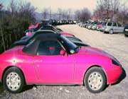 barchetta rosa